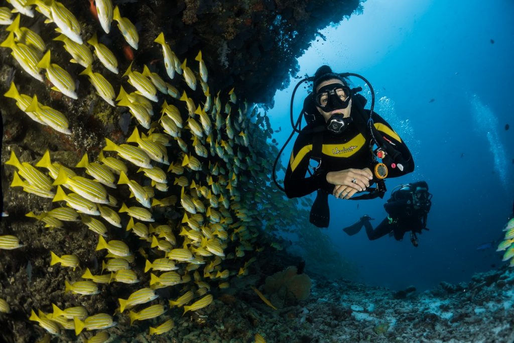 scuba diving tips