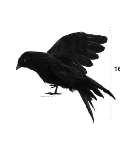 Crow Black Bird