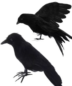 Crow Black Bird Decor