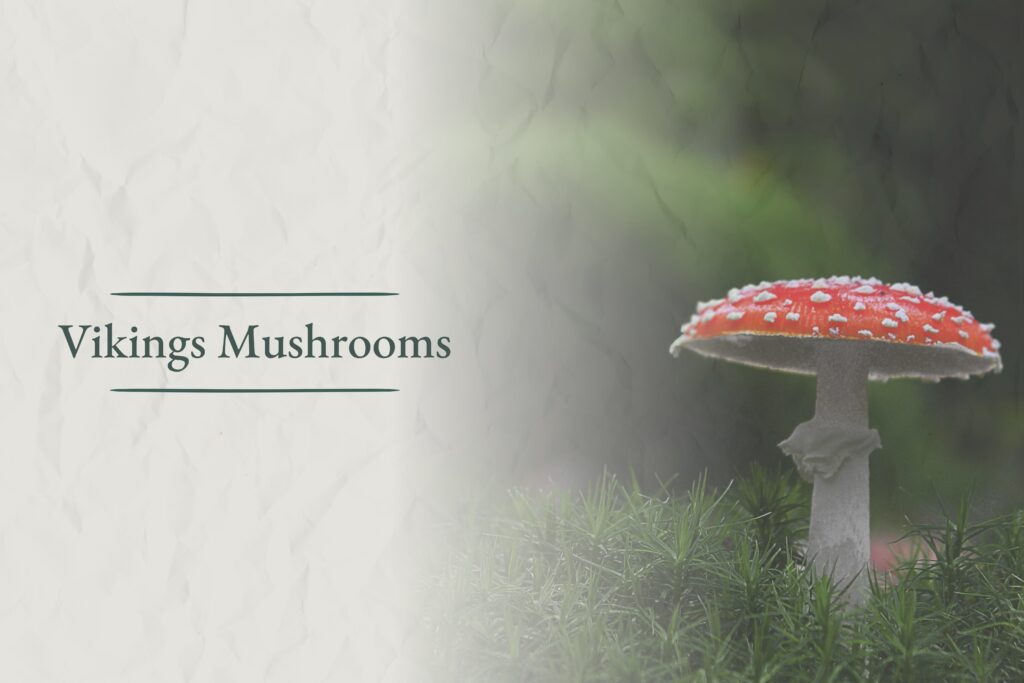 Vikings Mushrooms